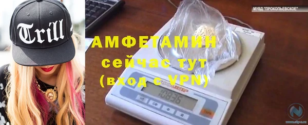 мдпв Богородицк