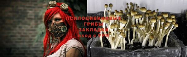 мдпв Богородицк