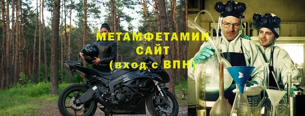 индика Новозыбков