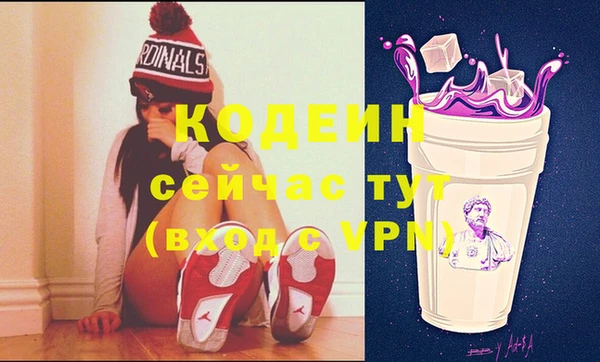 мдпв Богородицк
