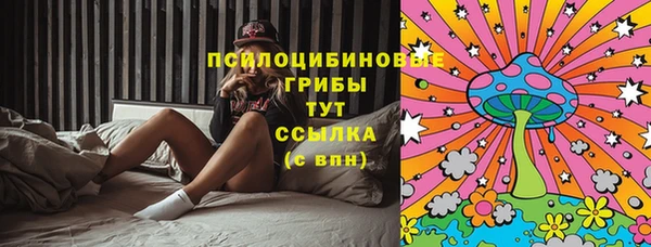 тгк Богданович