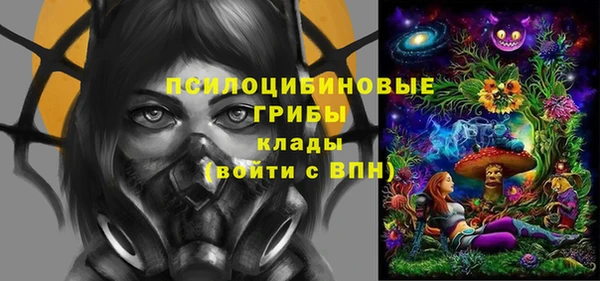 тгк Богданович