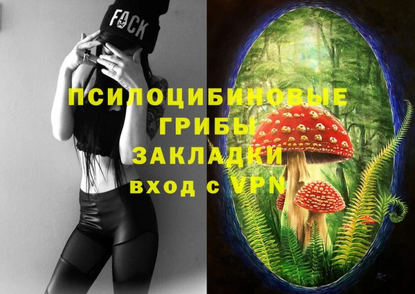 индика Новозыбков