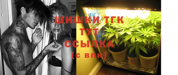 тгк Богданович