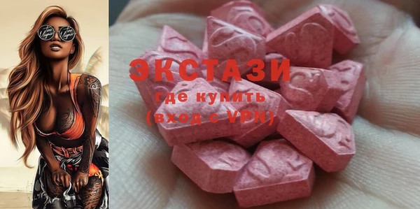 мдпв Богородицк