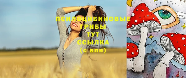 мдпв Богородицк