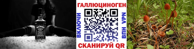 как найти наркотики  Брянск  Галлюциногенные грибы Cubensis 